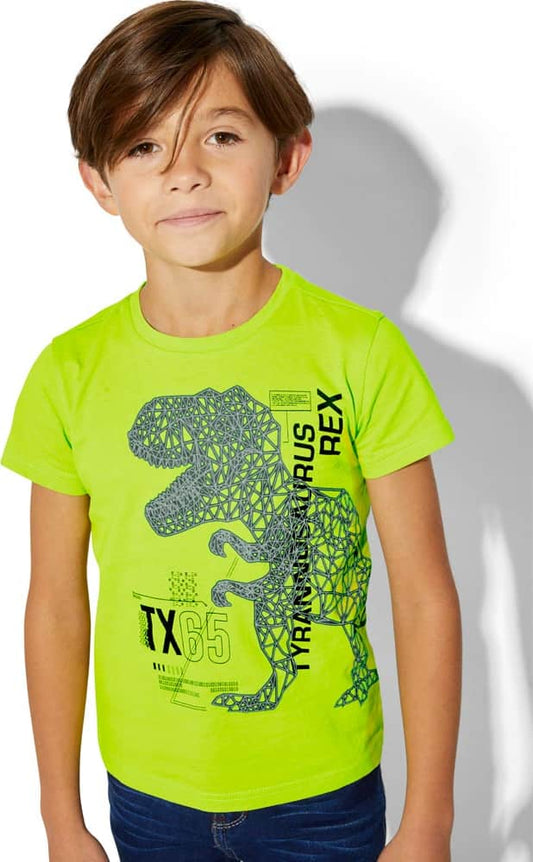 Next & Co 9658 Boys' Green t-shirt