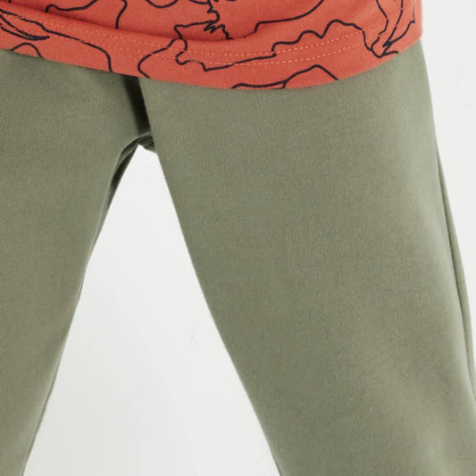 Next & Co LFTS Boys' Olive Green pants