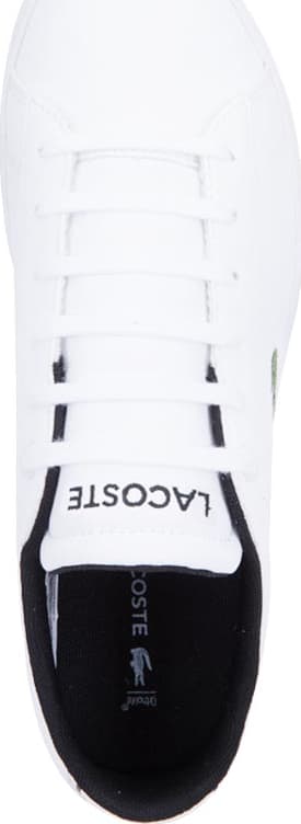 Lacoste 2147 White urban Sneakers
