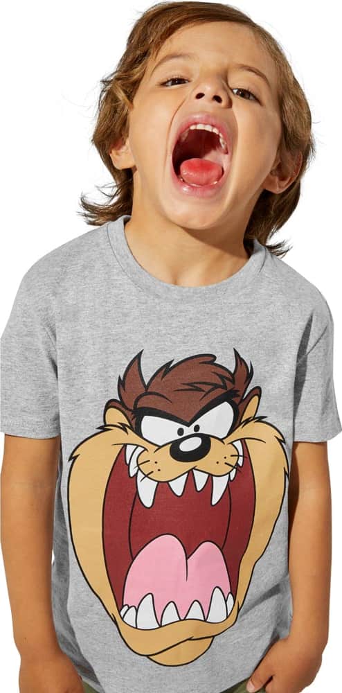 Looney Tunes 2072 Boys' Gray t-shirt