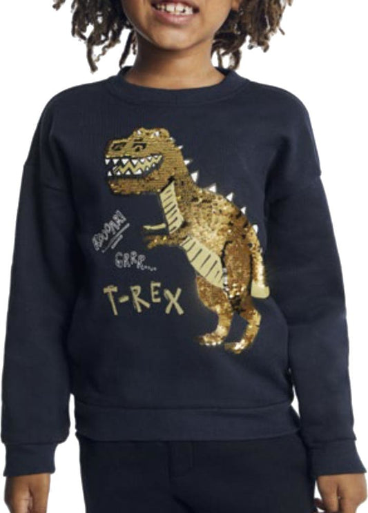 Next & Co 1078 Boys' Navy Blue sweatshirt