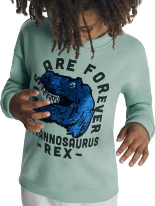 Next & Co 1573 Boys' Azul Menta sweatshirt