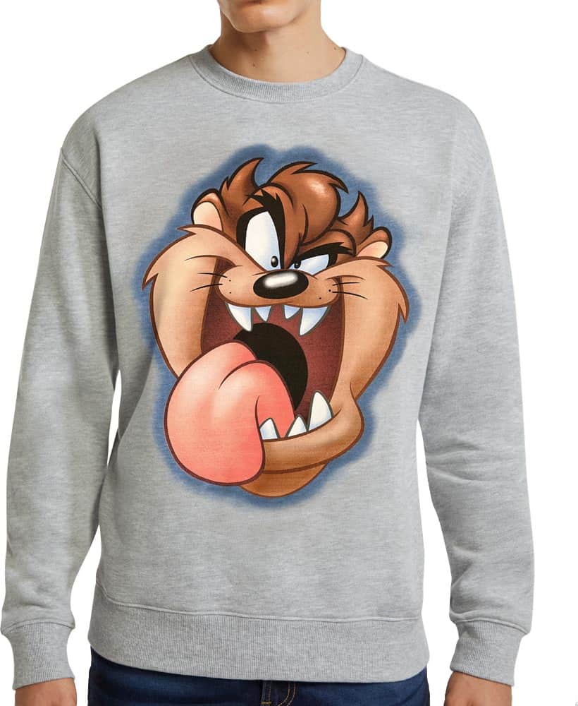 Looney Tunes RT01 Men Gray sweatshirt
