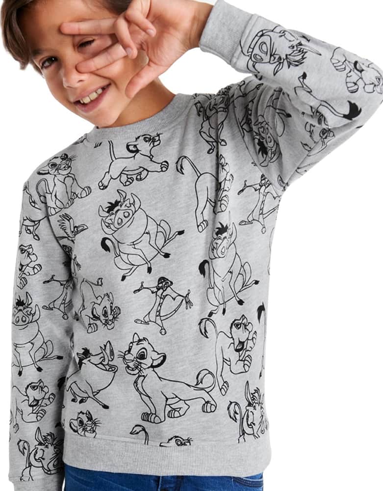 Disney RR02 Boys' Gray sweatshirt
