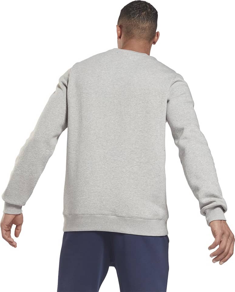 Reebok 1619 Men Gray sweatshirt
